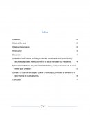 TRABAJO FINAL Factores de Riesgos