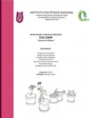 INVESTIGACIÓN Y ANÁLISIS DE MERCADOS