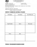 TEMA DE LA PRÁCTICA: Microscopia.