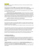 Resumen Nelly Schneit