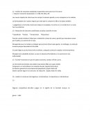 Práctica de gramática.