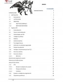 Automatizacion industrial. Generalidades del CNC