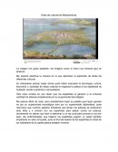 Ensayo de la cultura Olmeca y periodización.