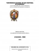 TESIS: ANÁLISIS DE EXPEDIENTE CIVIL.