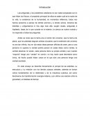 El secreto de las estrellas ensayo