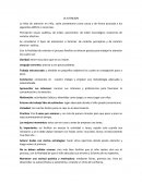 La atencion en niño