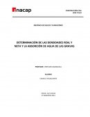 ÁRIDOS PARA MORTEROS Y HORMIGONES - DETERMINACIÓN DE LAS DENSIDADES REAL Y NETA Y LA ABSORCIÓN DE AGUA DE LAS GRAVAS