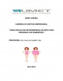 EJEMPLO DE LO QUE ES MICROEMPRESA DE ROPA PARA PERSONAS CON SOBREPESO