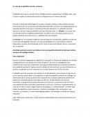 Un caso de un pabellón auricular accesorio