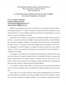 Espacialidad del mar caribe
