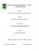 ENSAYO: DE LOS DERECHOS HUMANOS INTERNACIONALES