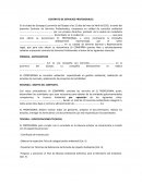 Servicios profesionales consultor ambiental