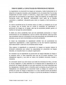 Como va el avance de el Ensayo sobre la capacitacion en prevencion de riesgos laborales