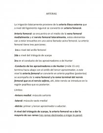 ARTERIAS y VENAS. Página 1