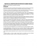 LA GRAN PRACTICA No.2 IDENTIFICACIÓN DE NITRITOS EN CARNES CURADAS.
