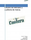 Estudio de mercado Cuadro de representatividad