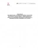 Prototipo de reglamento