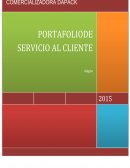 Como se da el Portafolio de servicio