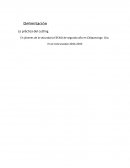 La práctica del cutting