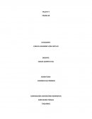 TALLER # 7 CONTADURÍA PÚBLICA