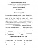 CARTA AVAL INDIVIDUAL