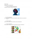 PRIMER TEMA HABILIDADES DEL PENSAMIENTO