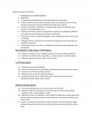 Como se ve el Desarrollo de las funciones basicas