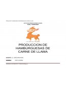 DESARROLLO DE PRODUCTOS Y PRODUCCION Burgess