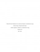 Título del Control: Introducción a los sistemas de transporte y levantamiento de carga