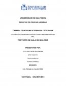 EL GRAN CICLO BIOLÓGICO E IDENDIFICACIÓN DE PLAGAS Y ENFERMEDADES DEL MAÍZ.