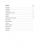 Justificación Problematizacion del tema