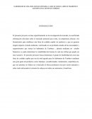 Ensayo sobre el shampoo