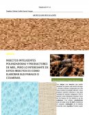 INSECTOS INTELIGENTES POLINIZADORAS Y PRODUCTORES DE MIEL, PERO LO INTERESANTE DE ESTOS INSECTOS ES COMO ELABORAN SUS PANALES O COLMENAS.