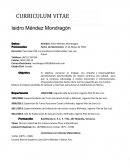 Ejemplo-CURRICULUM VITAE