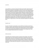 Resumen de Rendimiento de maquinaria