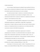 Conducta Organizacional - Ensayo