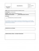 Realización del informe de practica