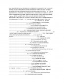 PLAN DE NEGOCIOS PARA LA CREACION DE UN CIBERCAFE