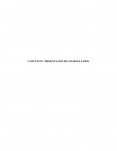 RESUMEN DEL CAPITULO IV: PRESENTACIÓN DE LOS RESULTADOS