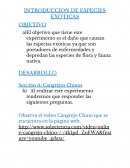 INTRODUCCION DE ESPECIES EXOTICAS, el daño que causan