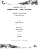 Nuevo proyecto Socioformativo