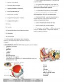 Formato de examen psicologia