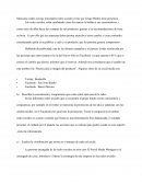 Guia de autoenseñanza