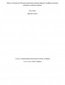 Tarea tema 2 Evolución Ideas Física y Química, master profesorado UNED