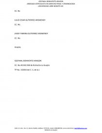 Poser suceion intestada. Página 2