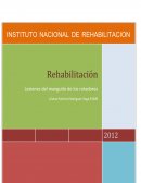 Rehabilitación en la lesión del manguito de los rotadores
