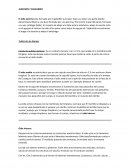 AUDICIÓN Y EQUILIBRIO