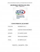 COMO ES LA INFRAESTRUCTURA DE LA UNIVERSIDAD CIENTIFICA DEL PERU