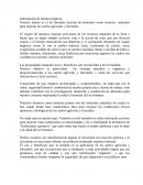 Empresa de mezclas de minerales como recursos naturales para mejorar los suelos agrícolas y forestales.
