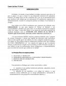 Tabla dinamica INTRODUCCIÓN